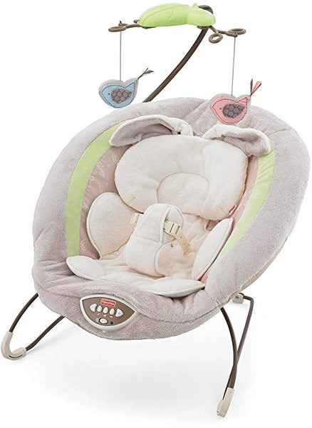 Snugabunny deluxe bouncer discount
