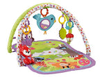 3-in-1 Musical Activity Gym, Woodland Friends