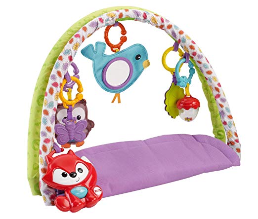 3-in-1 Musical Activity Gym, Woodland Friends