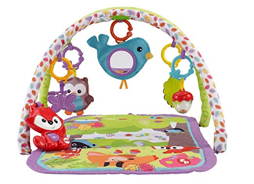 3-in-1 Musical Activity Gym, Woodland Friends