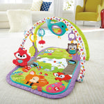 3-in-1 Musical Activity Gym, Woodland Friends