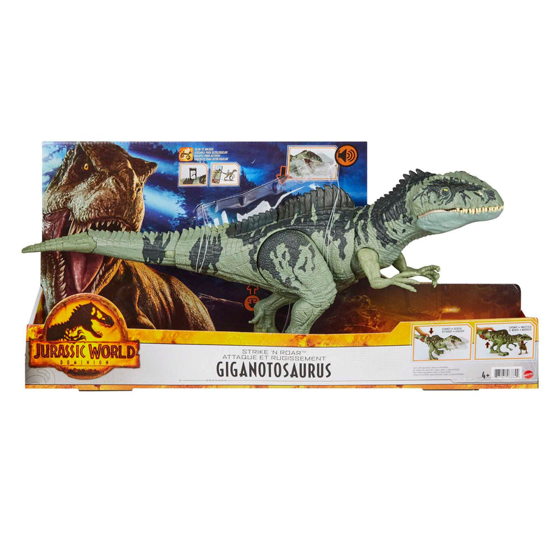 Jurassic World Dominion Dinosaur Toy, Strike N Roar Giganotosaurus Action Figure with Striking Motion and Sounds