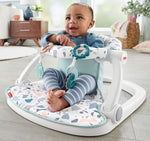 Fisher-Price Sit-Me-Up Floor Seat - Pacific Pebble