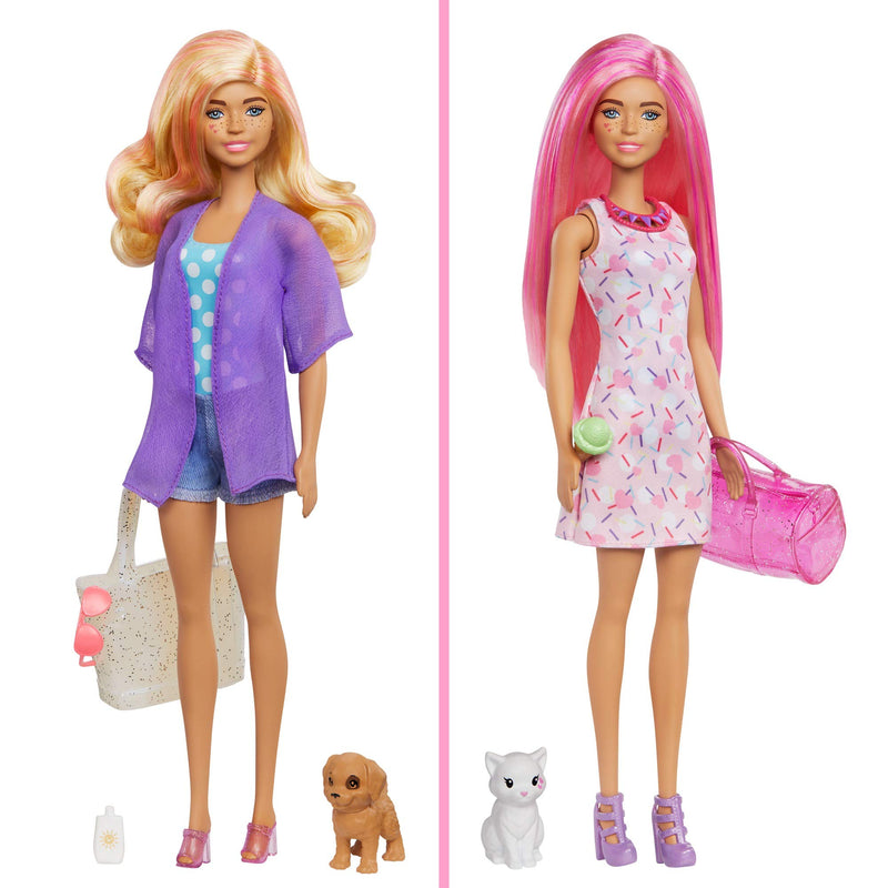 Barbie Color Reveal Doll Set with 25 Surprises Including 2 Pets & Day-to-Night Transformation