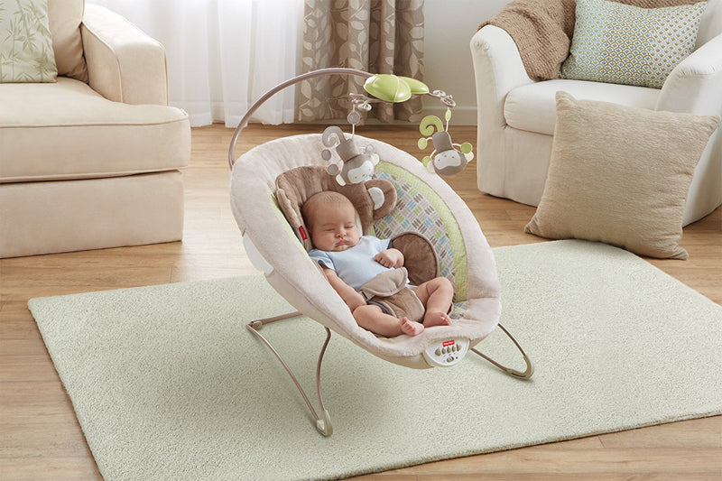 Fisher-Price Bouncer