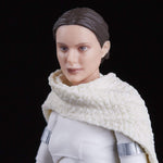 Star Wars The Black Series 6 inches Padme Amidala Figure
