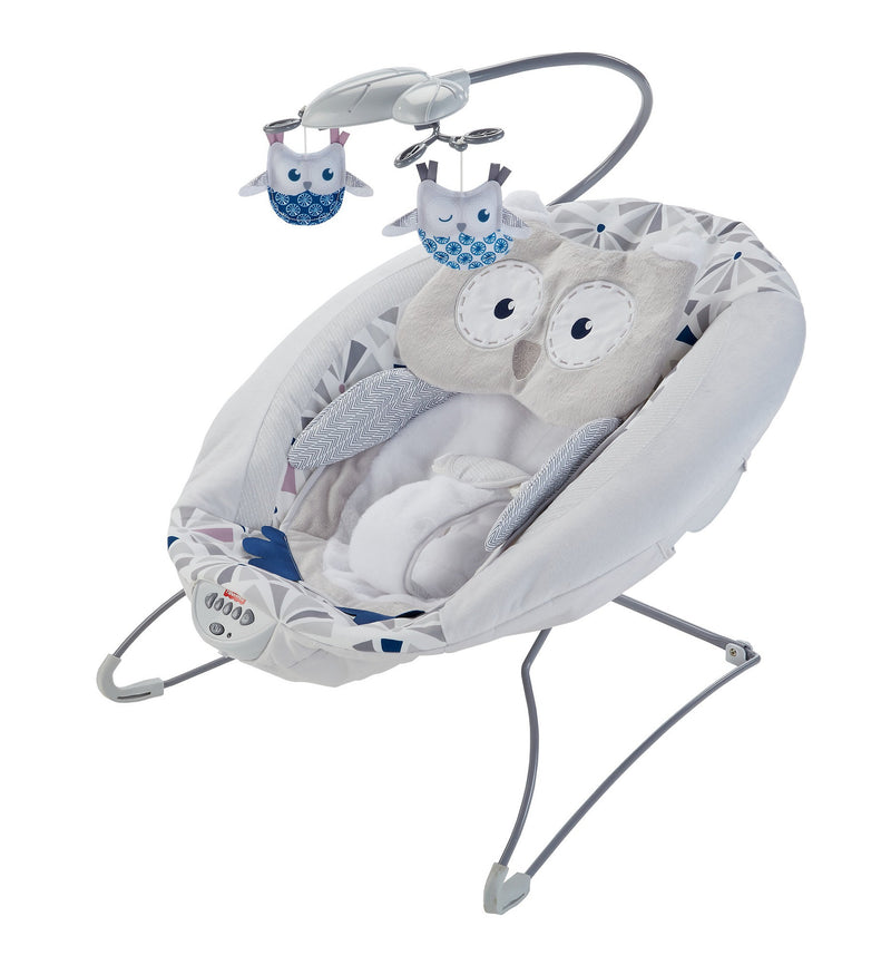 Fisher-Price Deluxe Bouncer Baby Gear