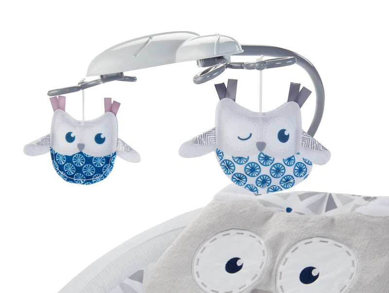 Fisher Price Deluxe Bouncer Baby Gear Square Imports