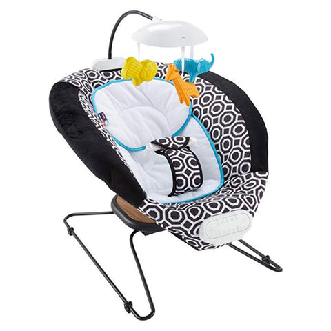 Bouncer fisher online price deluxe
