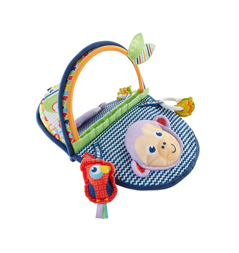 Fisher-Price Monkey Mirror