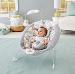 Fisher-Price My Little Snugapuppy Deluxe Bouncer