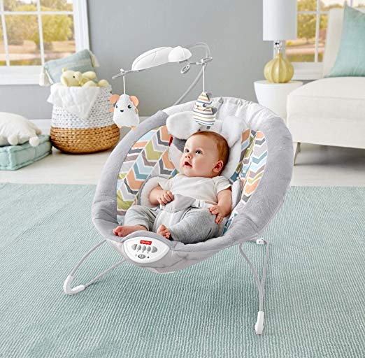 Fisher-Price My Little Snugapuppy Deluxe Bouncer