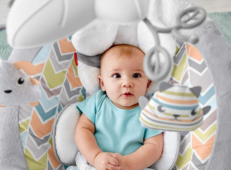 Fisher-Price My Little Snugapuppy Deluxe Bouncer