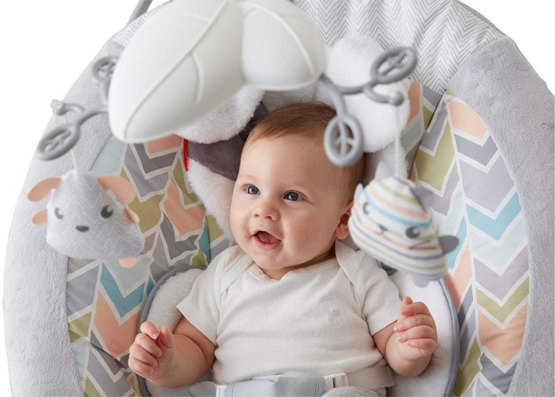 Fisher-Price My Little Snugapuppy Deluxe Bouncer