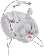 Fisher-Price My Little Snugapuppy Deluxe Bouncer