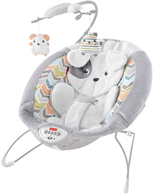 Fisher-Price My Little Snugapuppy Deluxe Bouncer