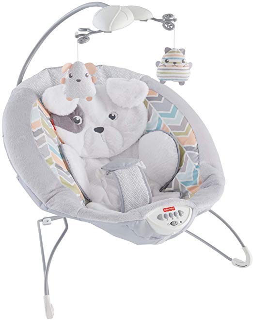 Fisher-Price My Little Snugapuppy Deluxe Bouncer