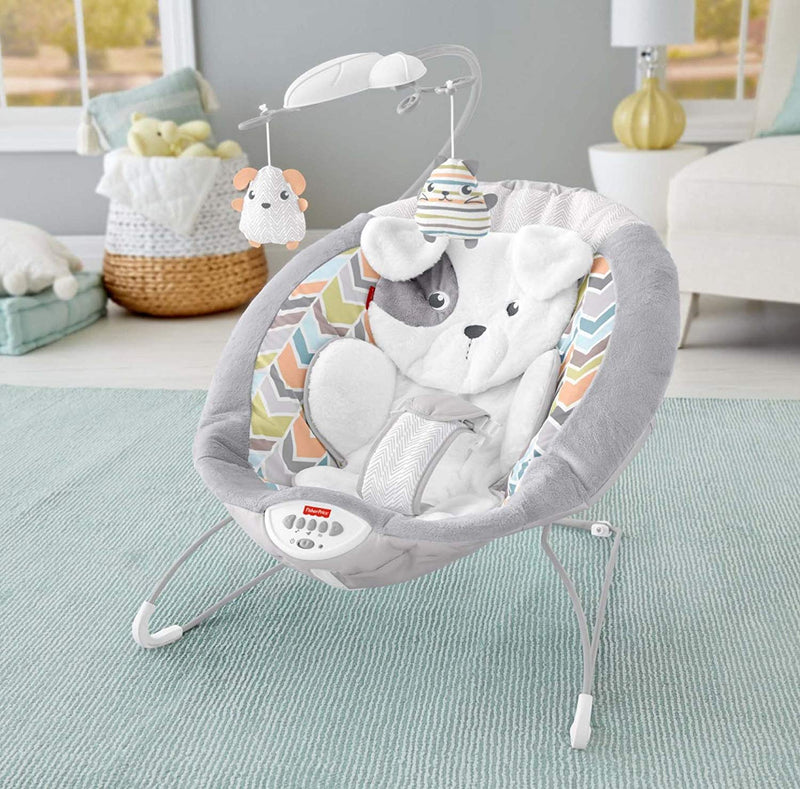 Fisher-Price My Little Snugapuppy Deluxe Bouncer
