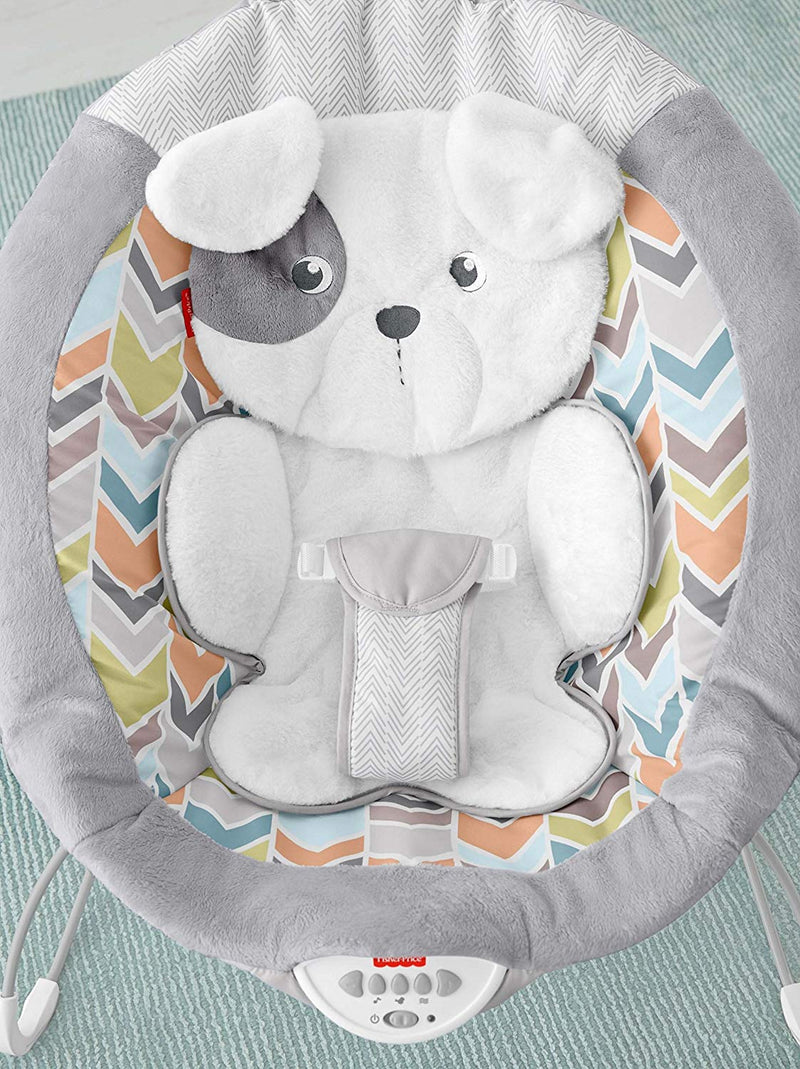 Fisher price bear bouncer best sale
