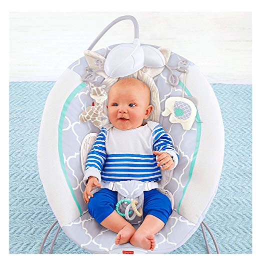 Fisher price safari dreams deluxe sale bouncer