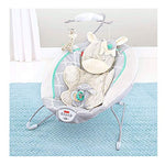 Fisher Price Safari Dreams Deluxe Bouncer, White/Blue