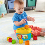 Fisher-Price Baby's First Blocks