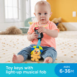 Fisher-Price Laugh & Learn Play & Go Keys Musical Infant Toy