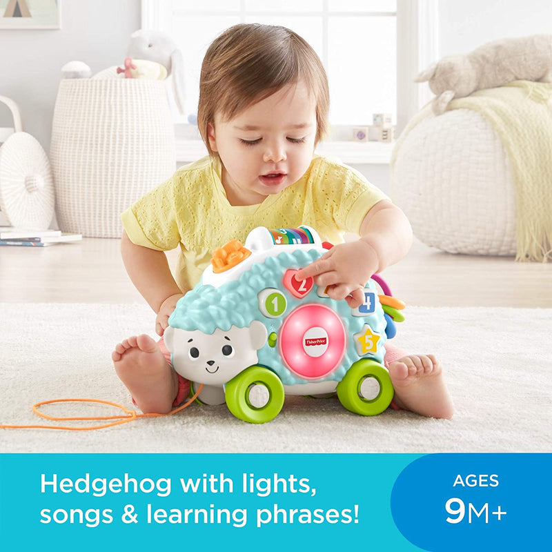 Fisher-Price Linkimals Happy Shapes Hedgehog Musical Baby Toy