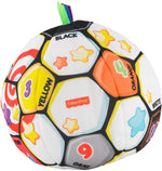 Laugh & Learn Singin Soccer Ball