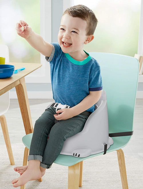 Fisher-Price Hungry Raccoon Booster Seat Portable Toddler Chair