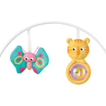 Fisher-Price Infant to Toddler Rocker