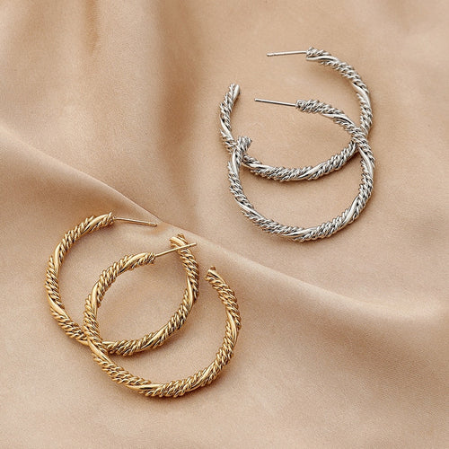 Women's Retro Spiral Fashion Hoop Earrings