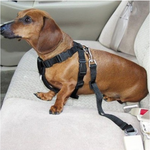 Dog Car Harness 