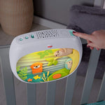 Fisher-Price Settle & Sleep Projection Soother with Music