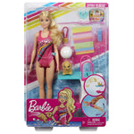 Barbie Dreamhouse Adventures Swim Dive Doll and Accessories