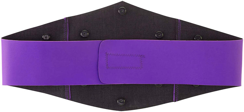 WWE Cruiserweight Title Belt