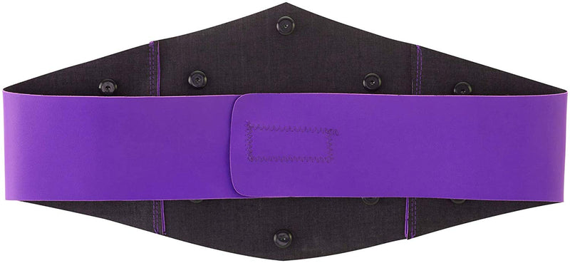 WWE Cruiserweight Title Belt