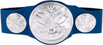 WWE Tag Team Championship Title
