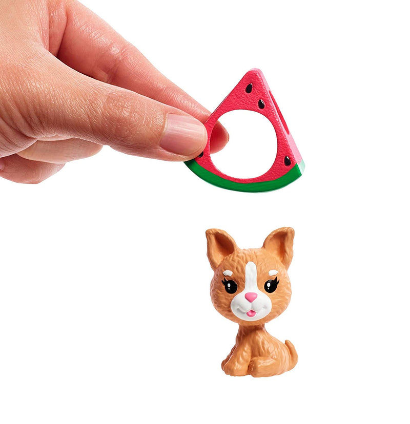 Barbie Club Chelsea Doll Watermelon Playset Square Imports