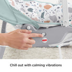 Fisher-Price Deluxe Infant-to-Toddler Rocker Seat, Pacific Pebble