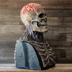 Halloween Movable Jaw Full Head Skull Mask