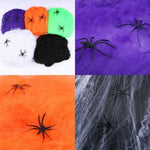 Spiderweb Decoration 