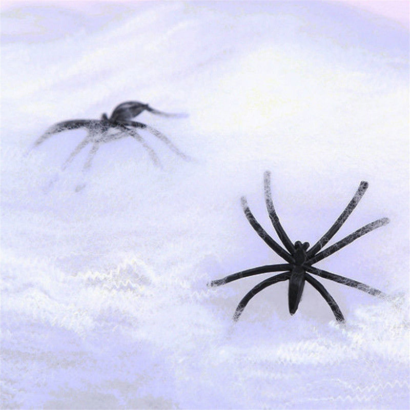 Spiderweb Decoration 