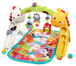 Play Gym