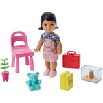 Barbie Careers Teacher Playset and Doll